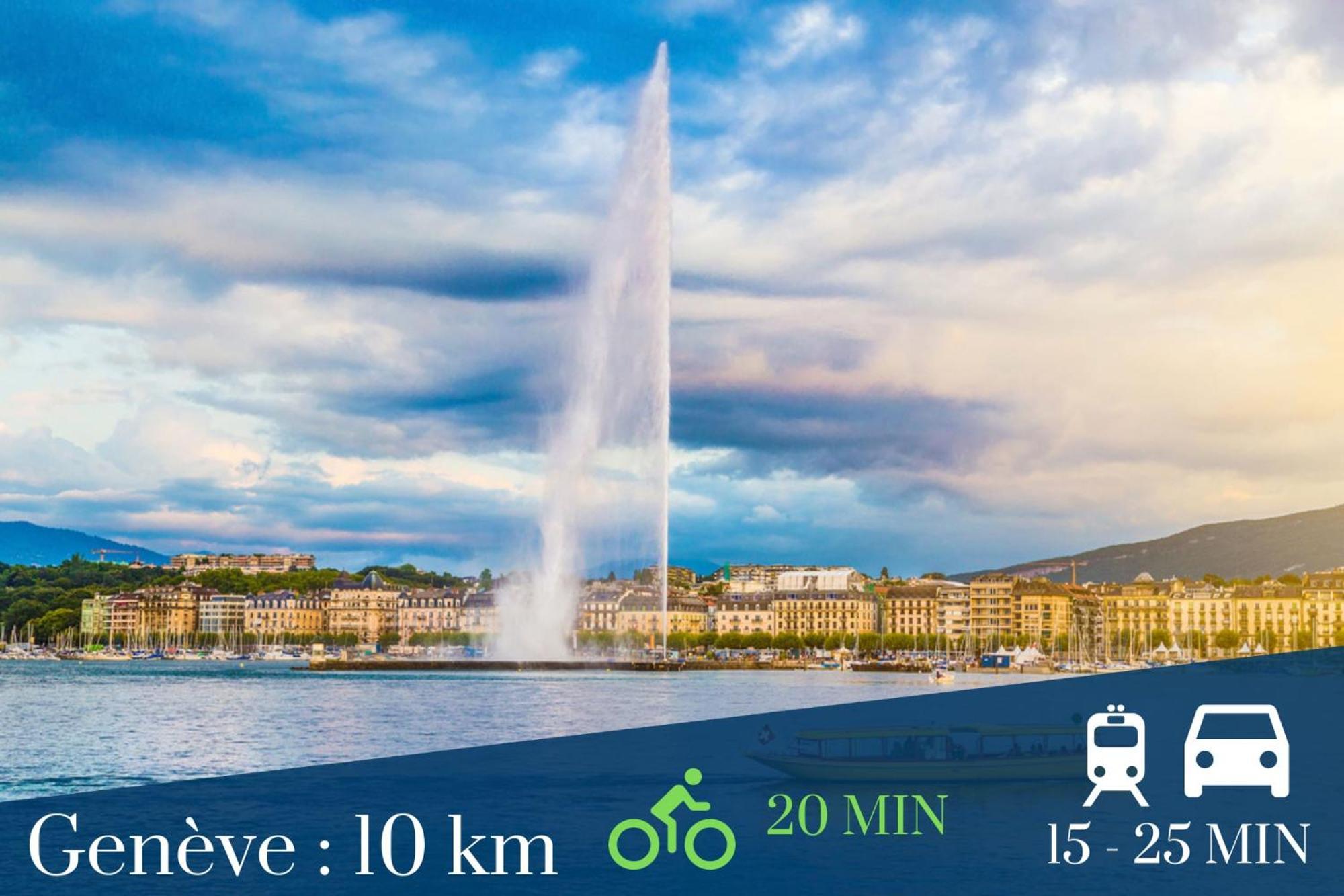 Homey Keola - Parking Prive Gratuit - Aux Portes De Geneve - Au Pied Du Tram - Appartement Avec 1 Chambre Et Un Grand Salon Avec Un Canape-Lit أمْبييّي المظهر الخارجي الصورة